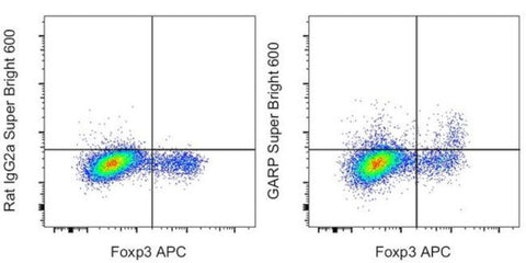 GARP Monoclonal Antibody (G14D9), Super Bright 600, eBioscience