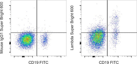 Lambda light chain Monoclonal Antibody (1-155-2), Super Bright 600, eBioscience