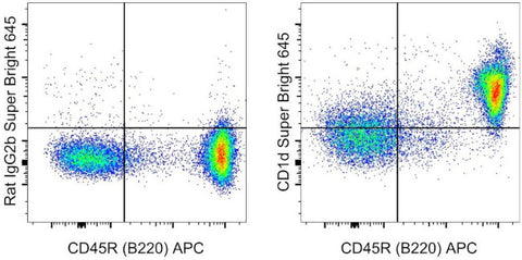CD1d Monoclonal Antibody (1B1), Super Bright 645, eBioscience