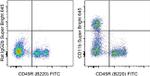 CD11b Monoclonal Antibody (M1/70), Super Bright™ 645