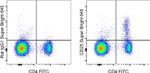 CD25 Monoclonal Antibody (PC61.5), Super Bright™ 645