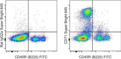 CD71 (Transferrin Receptor) Monoclonal Antibody (R17217 (RI7 217.1.4)), Super Bright 645, eBioscience
