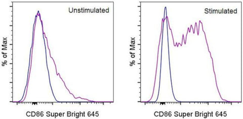 CD86 (B7-2) Monoclonal Antibody (GL1), Super Bright™ 645