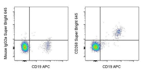 CD268 (BAFF Receptor) Monoclonal Antibody (8A7), Super Bright 645, eBioscience