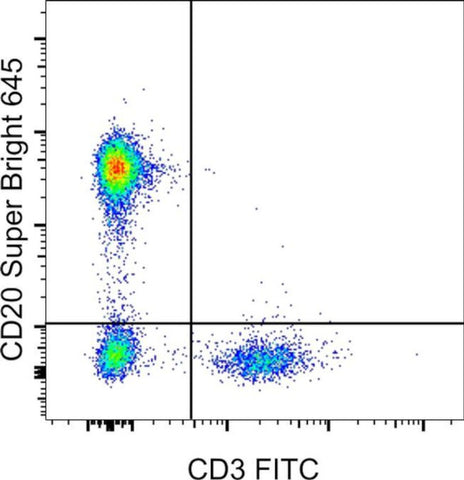 CD20 Monoclonal Antibody (2H7), Super Bright™ 645