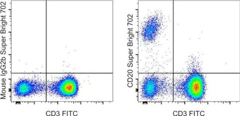 CD20 Monoclonal Antibody (2H7), Super Bright 702, eBioscience