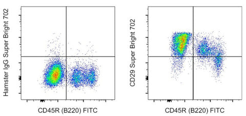CD29 (Integrin beta 1) Monoclonal Antibody (eBioHMb1-1 (HMb1-1)), Super Bright 702, eBioscience