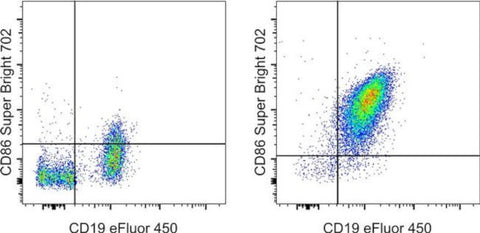 CD86 (B7-2) Monoclonal Antibody (GL1), Super Bright 702, eBioscience