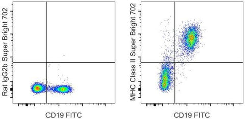MHC Class II (I-A/I-E) Monoclonal Antibody (M5/114.15.2), Super Bright 702, eBioscience