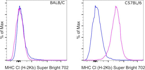 MHC Class I (H-2kb) Monoclonal Antibody (AF6-88.5.5.3), Super Bright 702, eBioscience