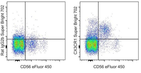 CX3CR1 Monoclonal Antibody (2A9-1), Super Bright 702, eBioscience