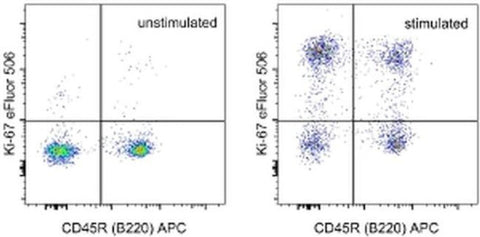 Ki-67 Monoclonal Antibody (SolA15), eFluor 506, eBioscience