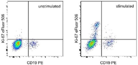 Ki-67 Monoclonal Antibody (20Raj1), eFluor 506, eBioscience