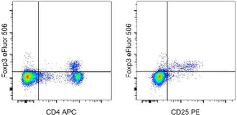 FOXP3 Monoclonal Antibody (FJK-16s), eFluor 506, eBioscience
