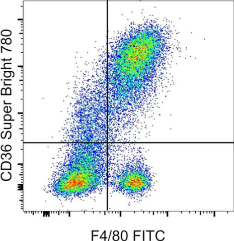 CD36 Monoclonal Antibody (HM36), Super Bright™ 780