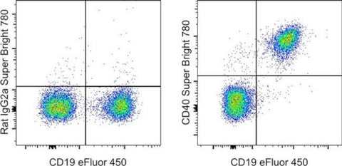 CD40 Monoclonal Antibody (1C10), Super Bright 780, eBioscience