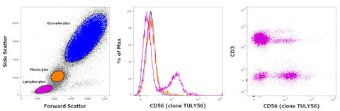 CD56 (NCAM) Monoclonal Antibody (TULY56), Super Bright 780, eBioscience