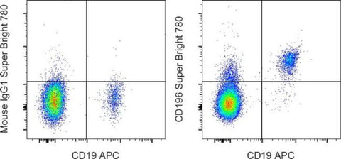 CD196 (CCR6) Monoclonal Antibody (R6H1), Super Bright 780, eBioscience