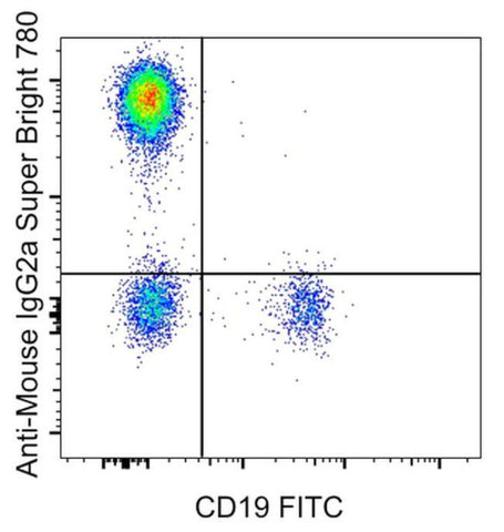 Rat anti-Mouse IgG2a Secondary Antibody, Super Bright 780, eBioscience