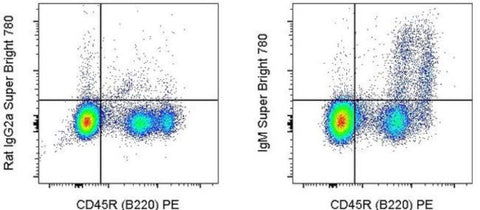 IgM Monoclonal Antibody (II/41), Super Bright 780, eBioscience