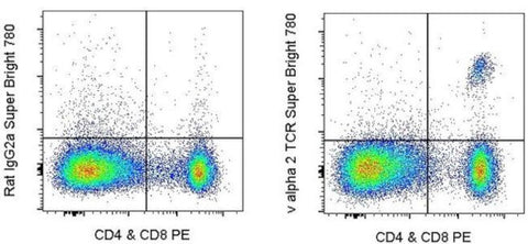 TCR V alpha 2 Monoclonal Antibody (B20.1), Super Bright 780, eBioscience