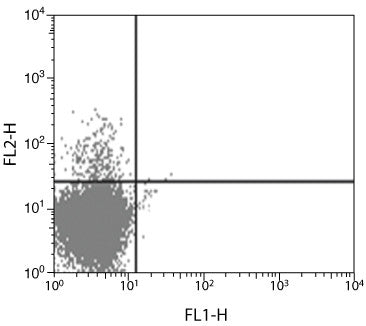 IL-13 Monoclonal Antibody (JES10-5A2)