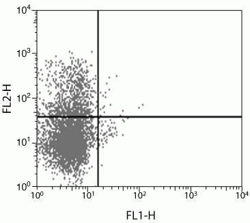 IL-2 Monoclonal Antibody (7H11AB7)