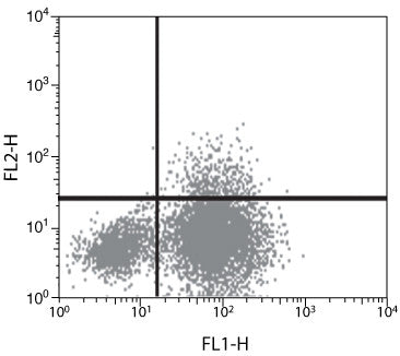 IL-10 Monoclonal Antibody (2G101H7)