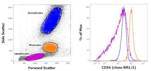 CD54 (ICAM-1) Monoclonal Antibody (RR1/1), Biotin, eBioscience