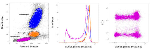 CD62L (L-Selectin) Monoclonal Antibody (DREG.55), Biotin, eBioscience