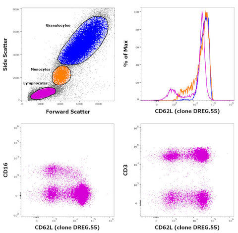 CD62L (L-Selectin) Monoclonal Antibody (DREG.55), FITC, eBioscience