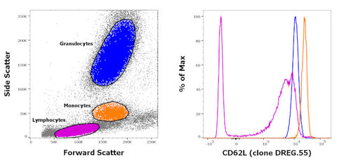 CD31 (PECAM-1) Monoclonal Antibody (Gi18), Biotin, eBioscience