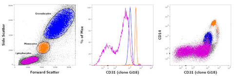 CD31 (PECAM-1) Monoclonal Antibody (Gi18), FITC, eBioscience