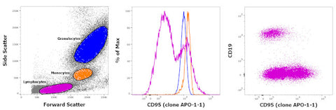 CD95 (APO-1/Fas) Monoclonal Antibody (APO-1-1), FITC, eBioscience