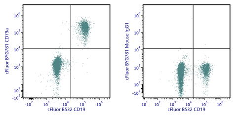 cFluor<sup>&reg;</sup> BYG781 Anti-Human CD79a (HM47)