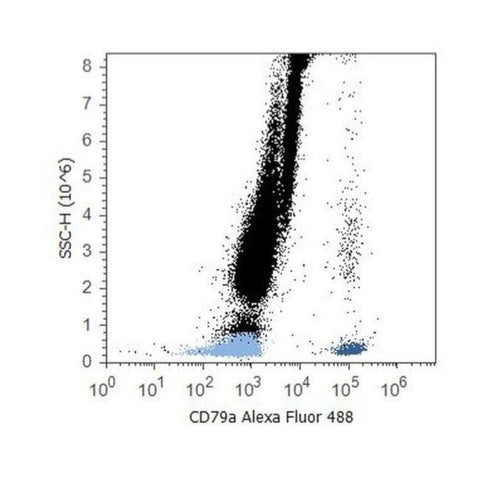 CD79a Monoclonal Antibody (HM47), Alexa Fluor 488