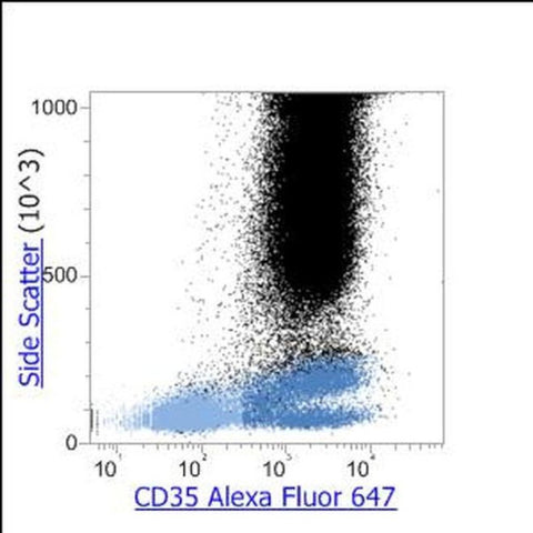 CD35 Monoclonal Antibody (E11), Alexa Fluor 647