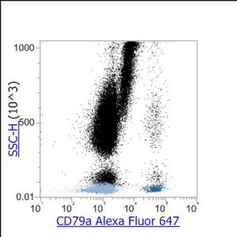 CD79a Monoclonal Antibody (HM47), Alexa Fluor 647