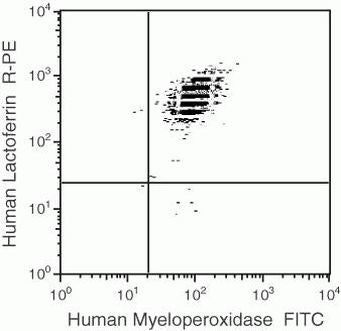 Myeloperoxidase Monoclonal Antibody (8E6), FITC