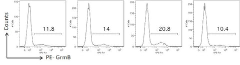 Granzyme B Monoclonal Antibody (GB11), PE, eBioscience