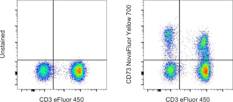CD73 Monoclonal Antibody (AD2), NovaFluor Yellow 700, eBioscience