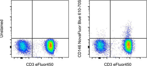 CD146 Monoclonal Antibody (P1H12), NovaFluor Blue 610-70S, eBioscience