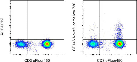 CD146 Monoclonal Antibody (P1H12), NovaFluor Yellow 730, eBioscience