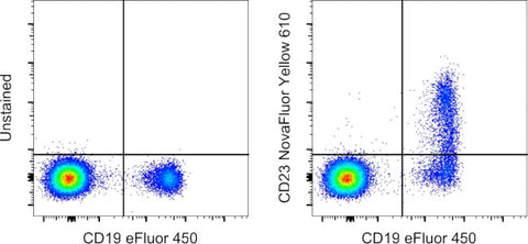 CD23 Monoclonal Antibody (EBVCS2), NovaFluor Yellow 610, eBioscience
