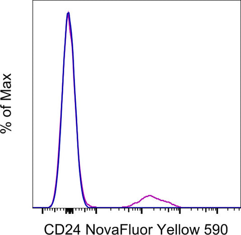 CD24 Monoclonal Antibody (eBioSN3 (SN3 A5-2H10)), NovaFluor Yellow 590, eBioscience