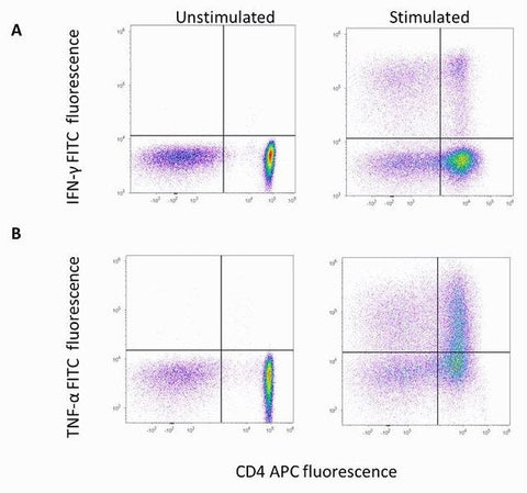 CD4 Monoclonal Antibody (S3.5), APC
