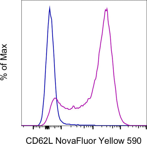 CD62L (L-Selectin) Monoclonal Antibody (MEL-14), NovaFluor Yellow 590, eBioscience