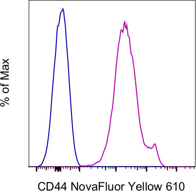 CD44 Monoclonal Antibody (IM7), NovaFluor Yellow 610, eBioscience