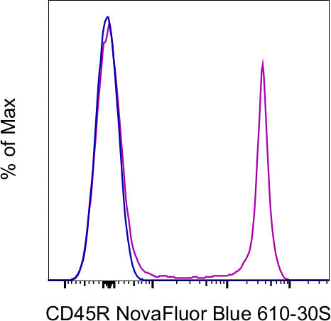 CD45R (B220) Monoclonal Antibody (RA3-6B2), NovaFluor Blue 610-30S, eBioscience