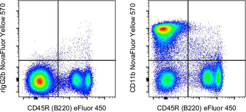 CD11b Monoclonal Antibody (M1/70), NovaFluor Yellow 570, eBioscience